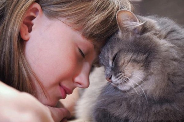 gatto e bambina fronte a fronte