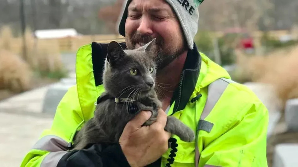 Gatto-Ashes-con-il-suo-proprietario