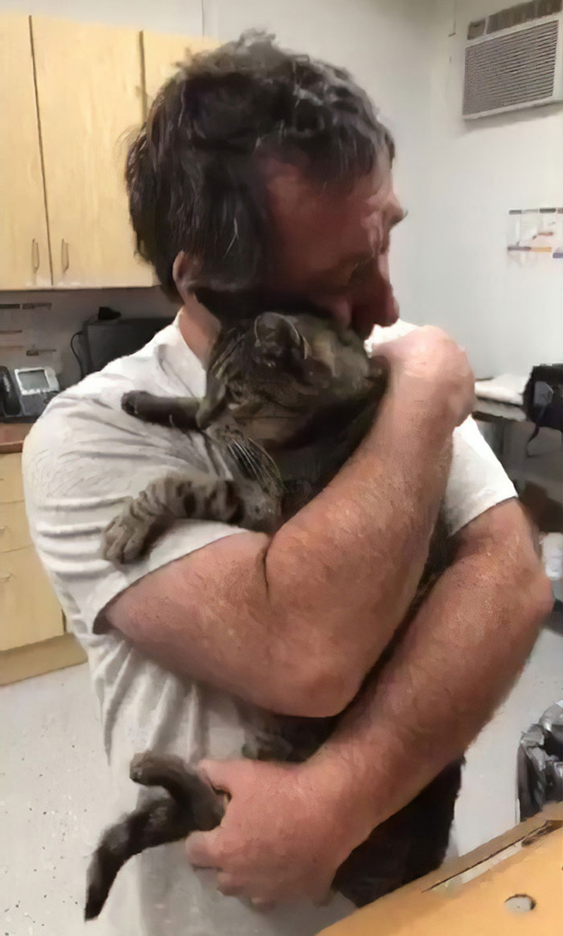Gatto abbracciato al proprietario