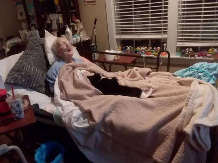 Gatto che dorme con la proprietaria malata