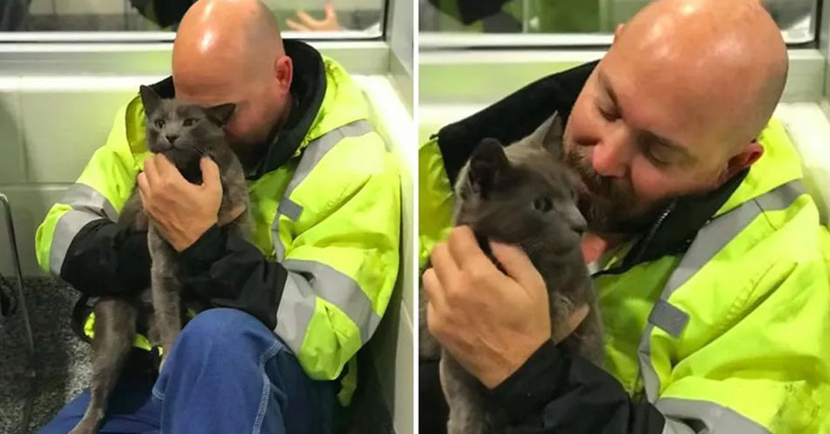 Ashes, il gatto “camionista” che ha riabbracciato il proprietario dopo molto tempo