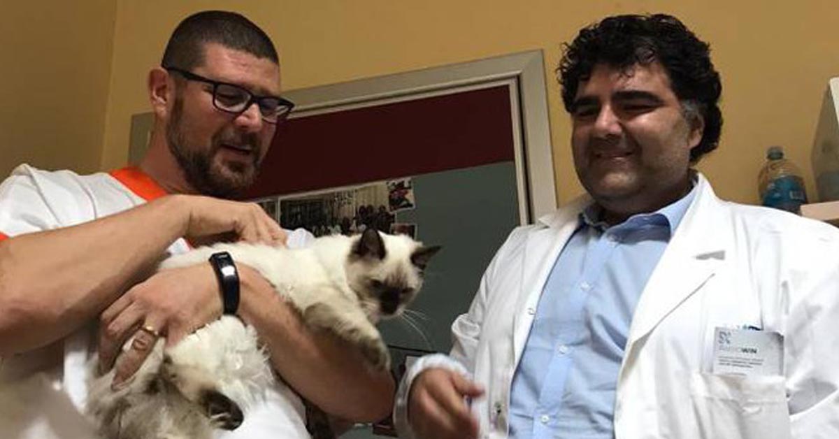 Simba, il gattino adottato dall’Ospedale di Arezzo per la Pet Therapy