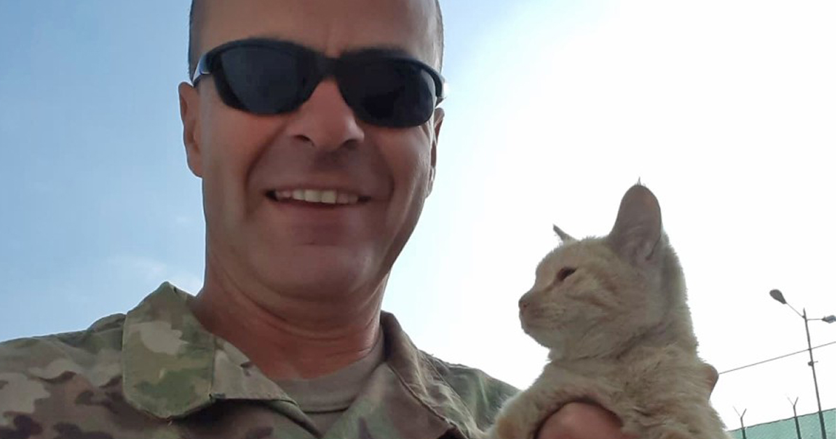 Sully, il gattino salvato da un soldato in missione
