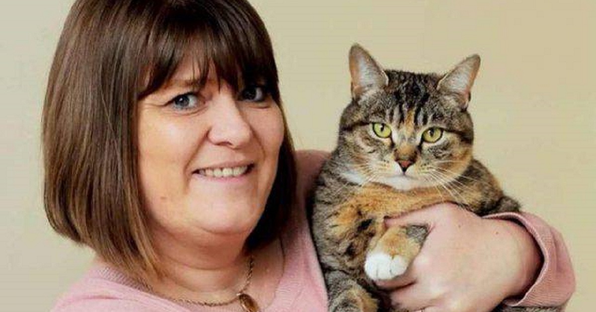I gatti sentono i tumori: Missy salva la padrona