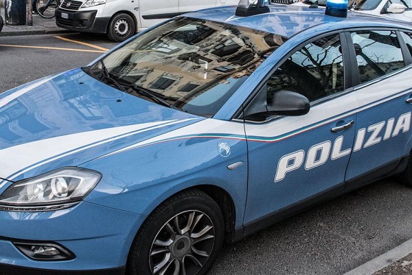 volante della polizia per gatto ucciso