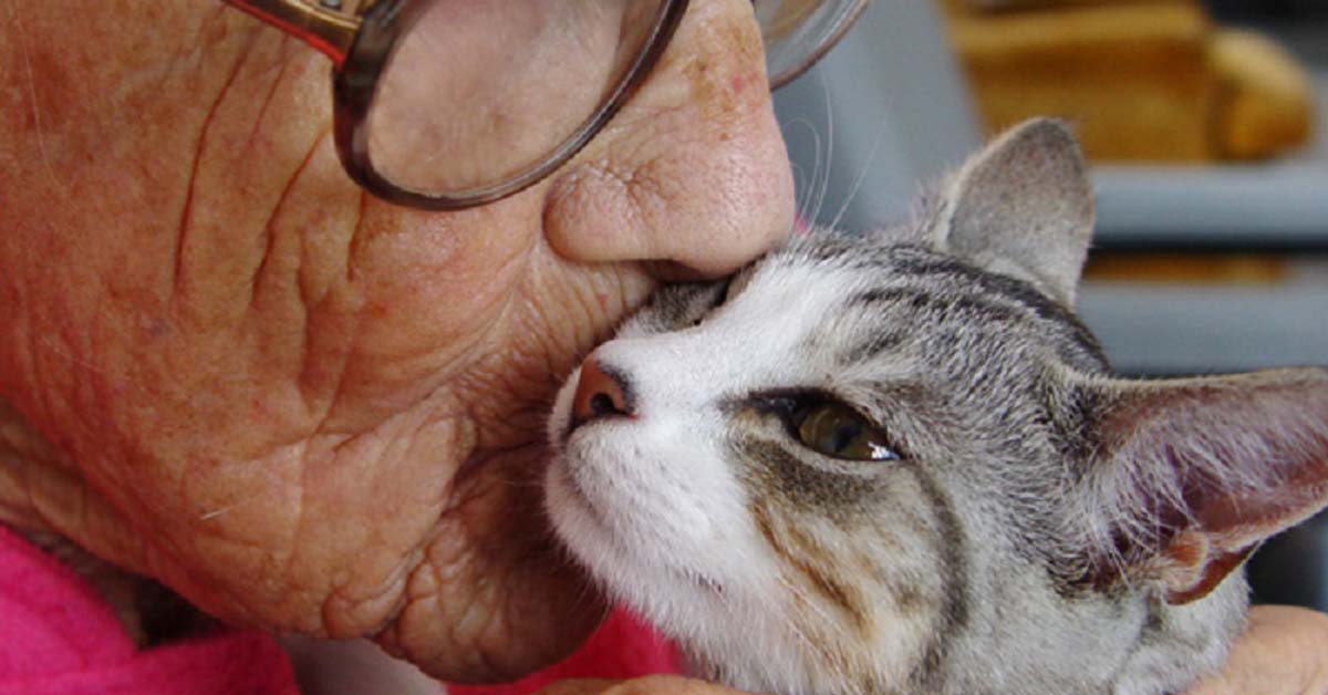 Simba, il gatto per la pet therapy