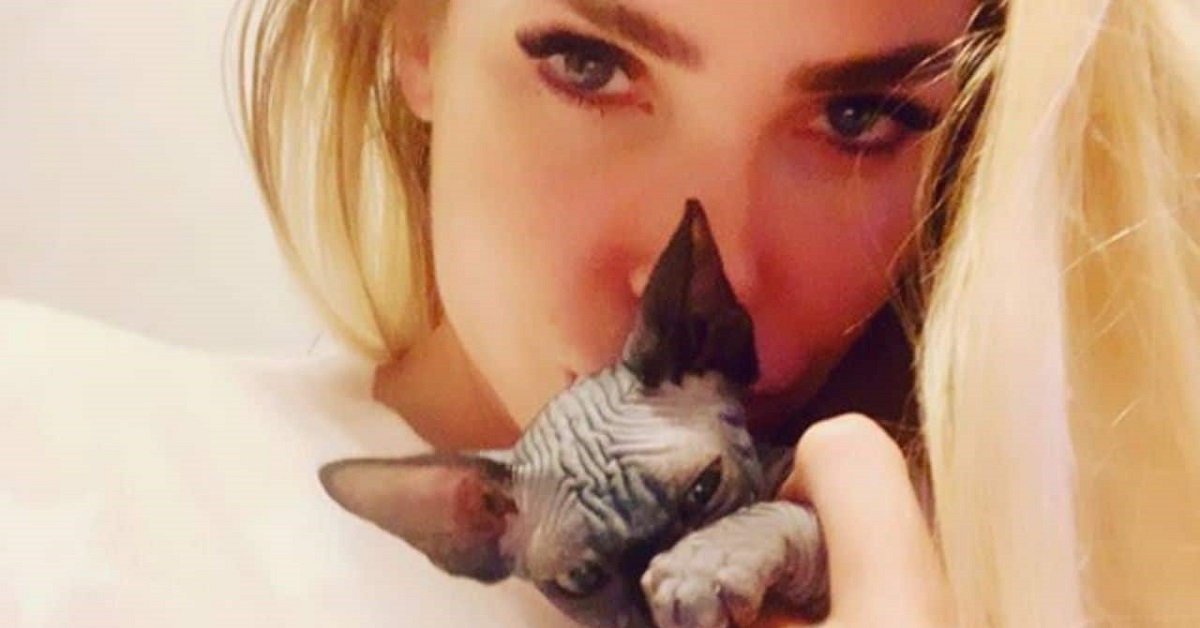 La nuova gattina di Ilary Blasi, i fan: “Un pipistrello”