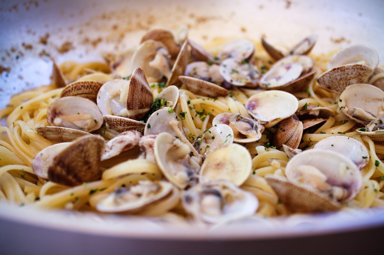 Vongole ai gatti: perché fanno bene e come includerle nella loro dieta