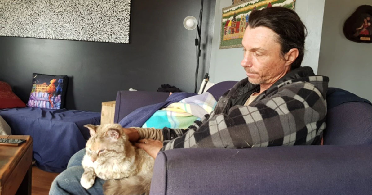 Angel, il gatto sopravvissuto agli incendi in Australia che è riuscito a tornare a casa