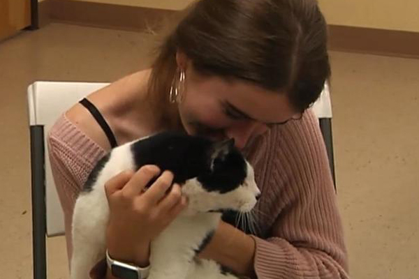 Gatto con la proprietaria