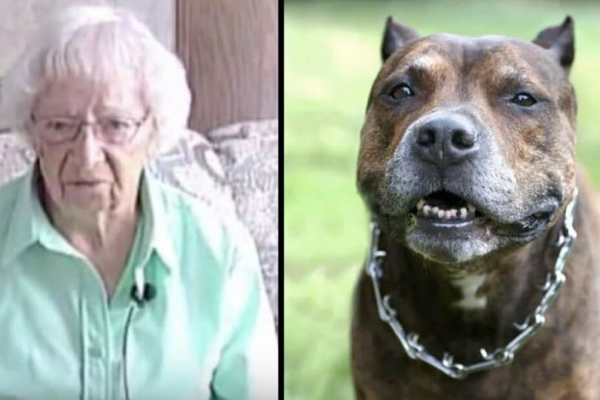 Cane con una signora anziana
