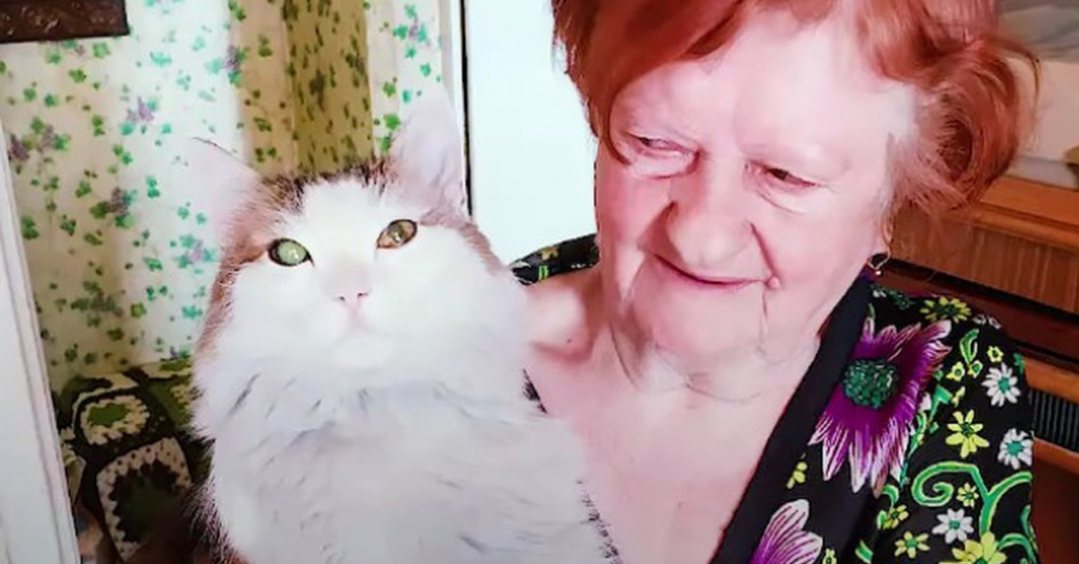 Liosha, il gattino che ha salvato la sua anziana proprietaria da un incendio