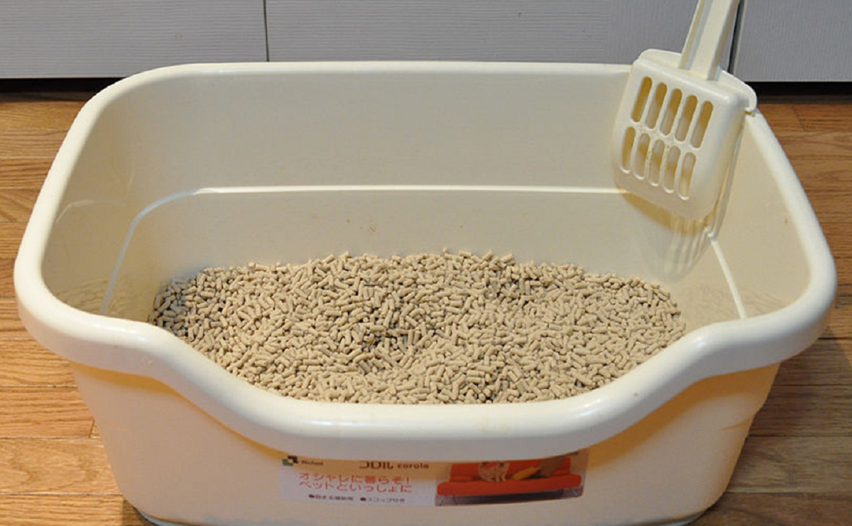 Наполнитель для кошачьего туалета Cat Litter. Наполнитель для лотка Cat Litter. Туалет для кошек Cat Litter. Кэт литтер наполнитель для кошачьего туалета. Какой лоток лучше для кошки