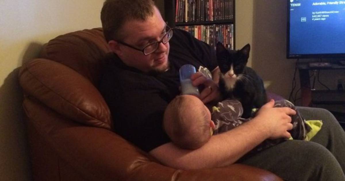 Gatto, neonato e uomo