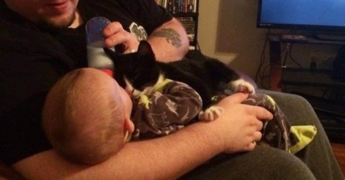 Gatto e neonato