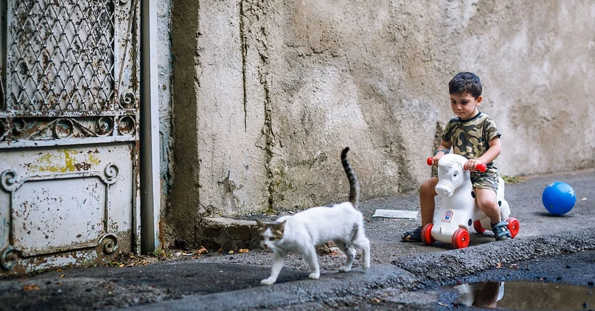 Gatto con un bambino