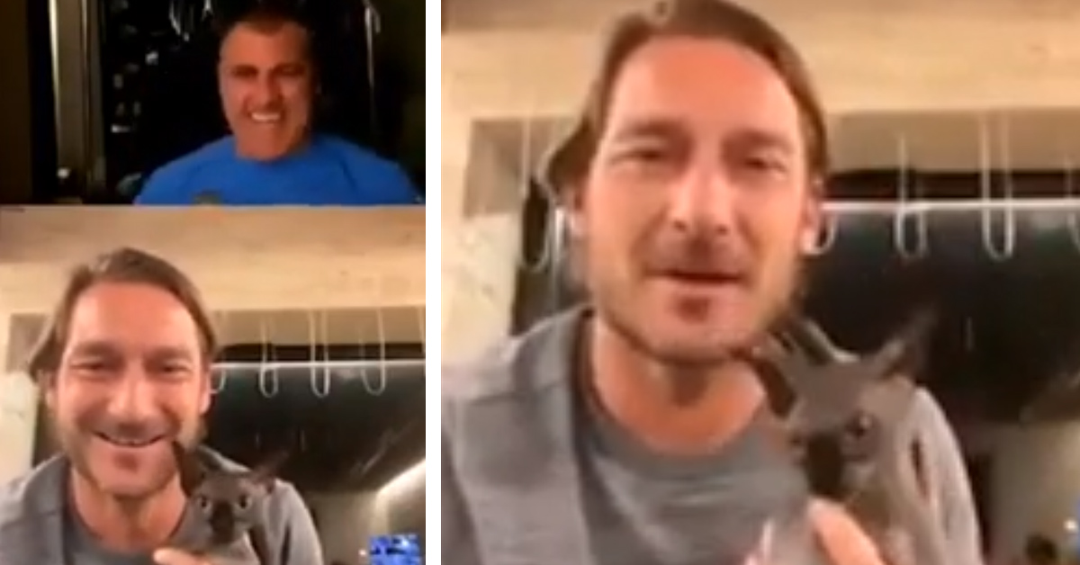 Totti parla del nuovo gattino Sphynx durante una diretta con Vieri (video)