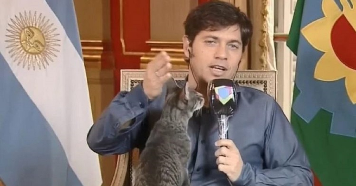 Gatto interrompe il governatore di Buenos Aires durante il suo discorso (VIDEO)