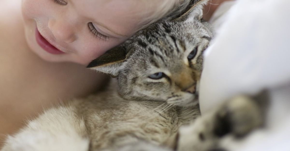 Zora, il gatto che parla con un bambino (video)