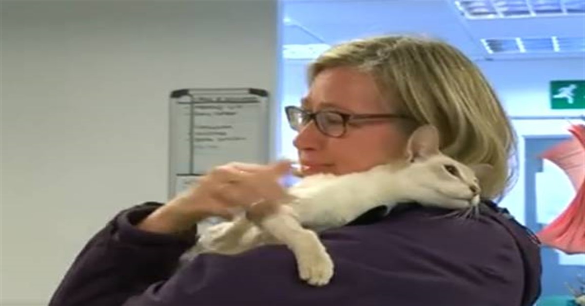 donna abbraccia gatto