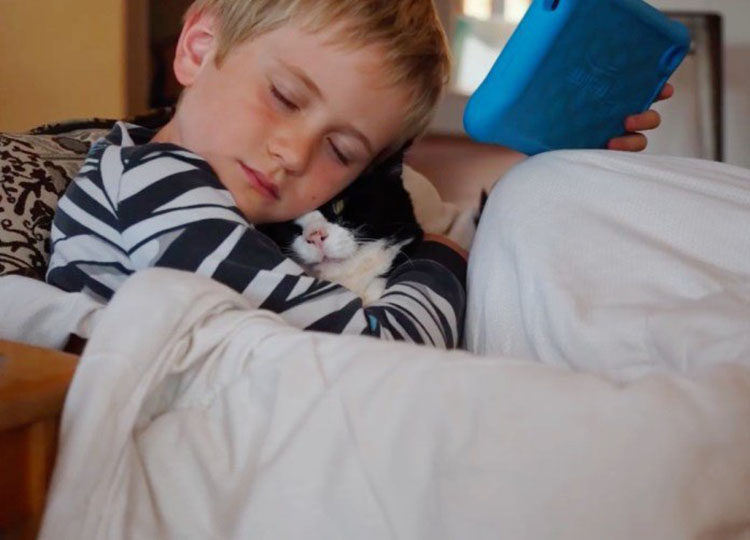 Dexter, il gatto anziano adottato da un bimbo (video)