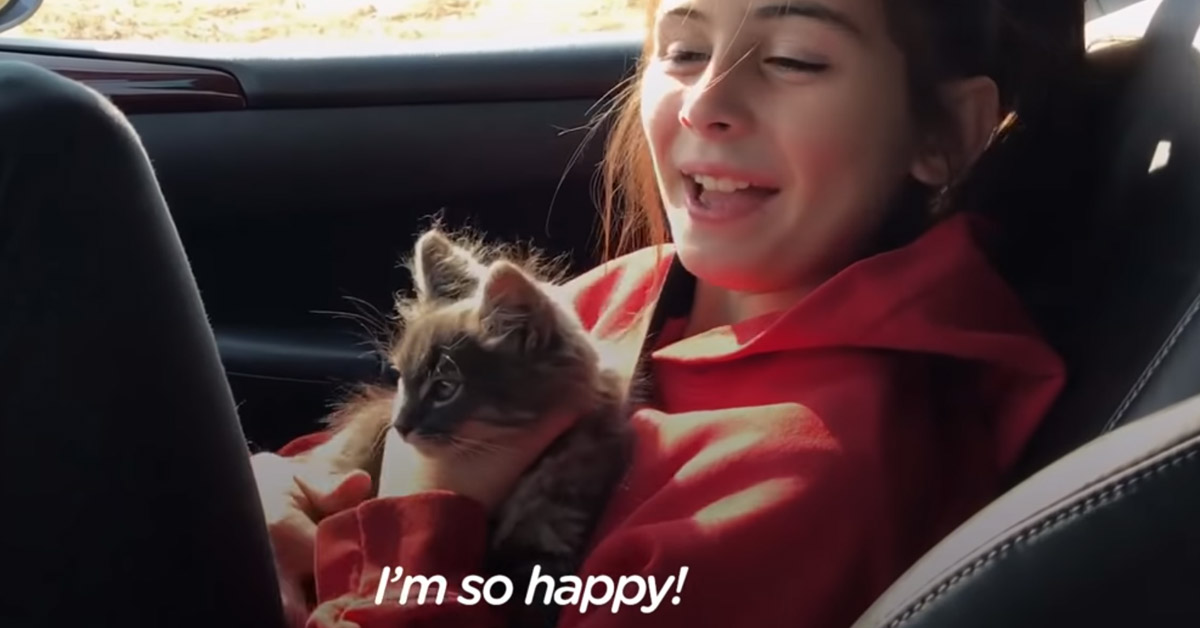 Il gattino ha riabbracciato la sua amica bambina dopo essersi perso e il video ha commosso il web