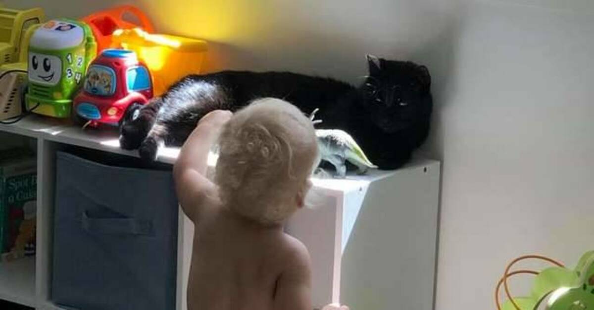 gatto e bambino