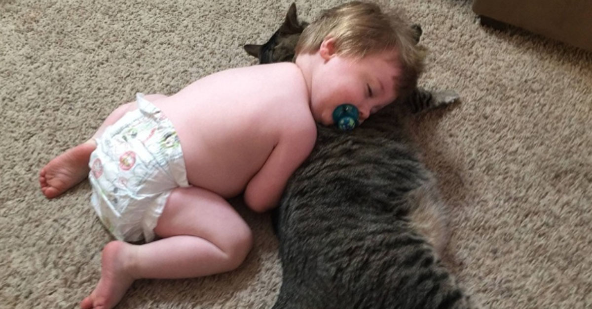 Gattino con un bambino