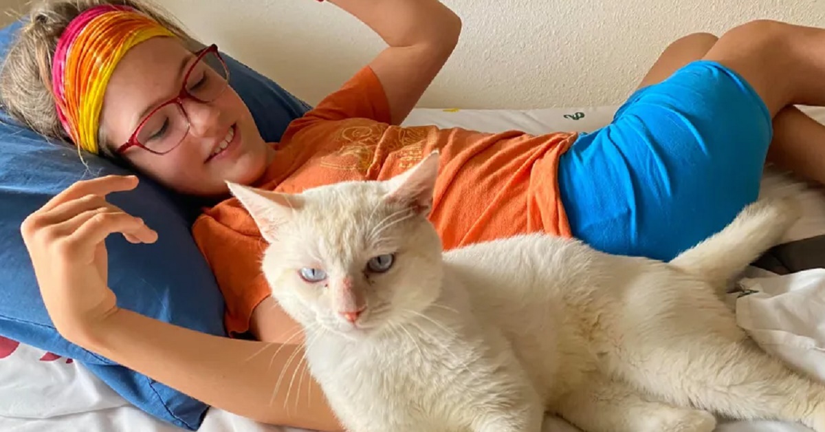Sinatra, il gatto diventato amico di una ragazza disabile (video)