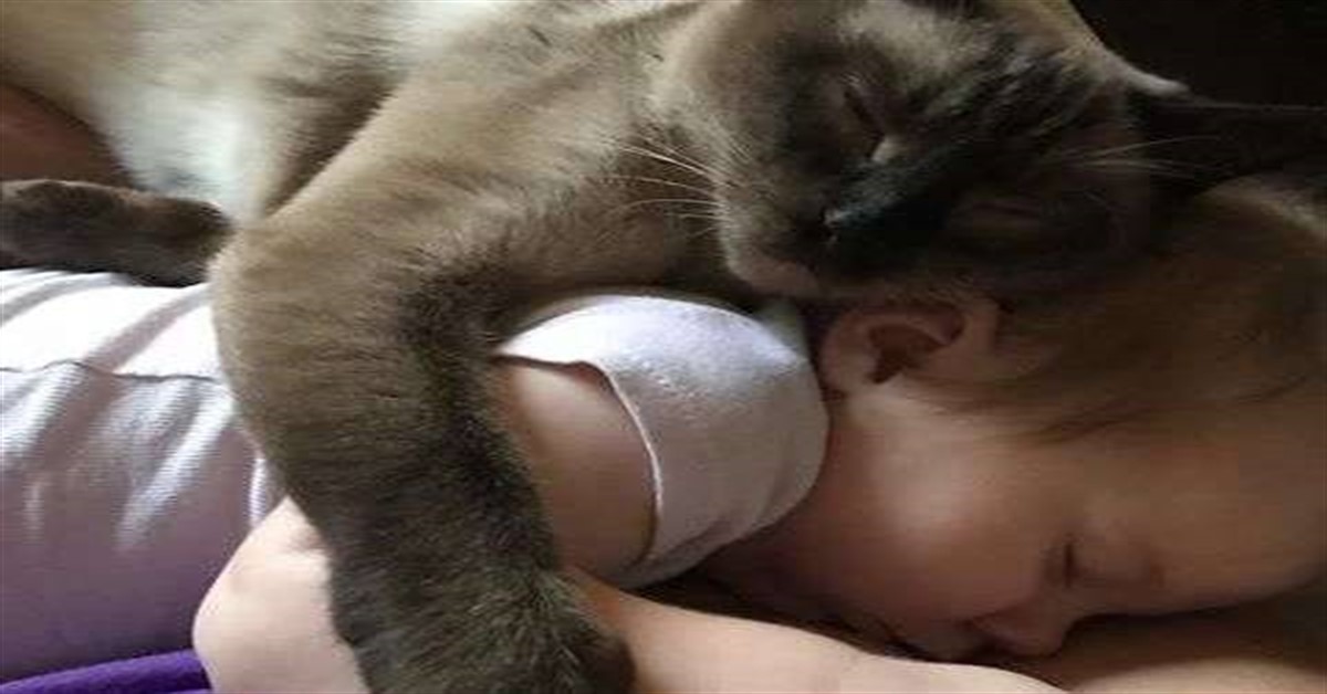 gatto dorme con neonata