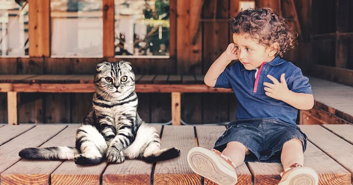 Gatto con un bambino