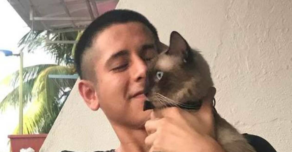 gatto in braccio ad un ragazzo