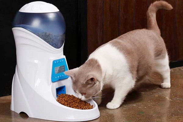 dispenser per gatti