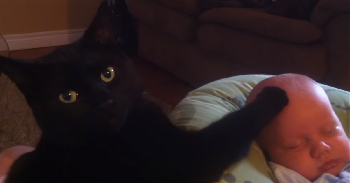 Gattino nero accarezza neonato per farlo addormentare (VIDEO)