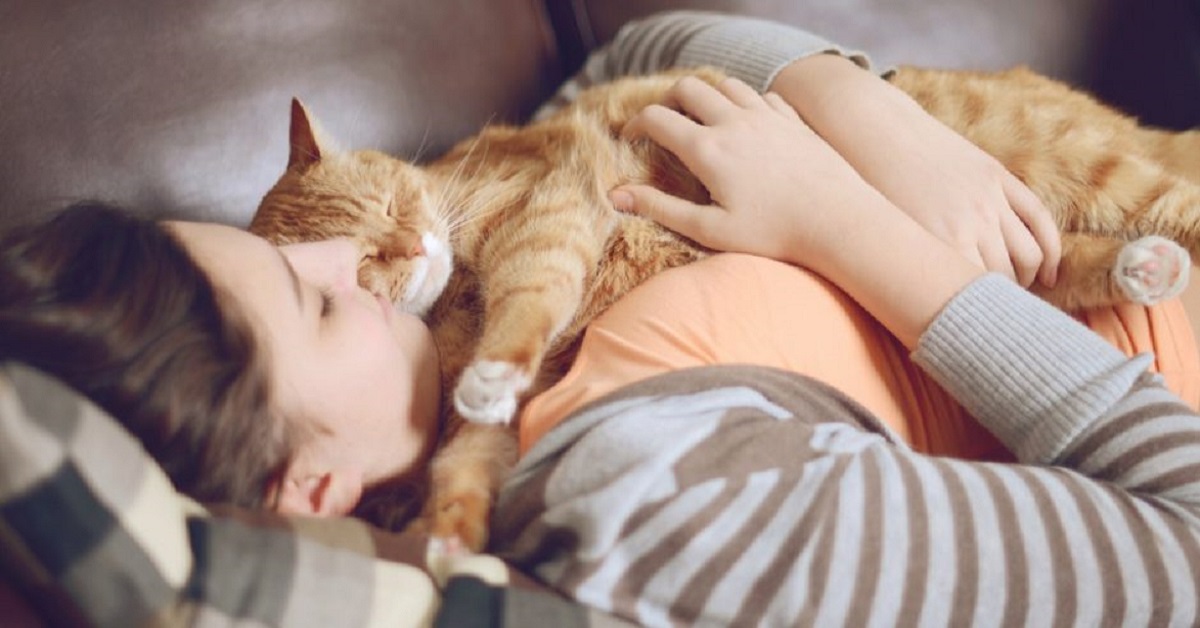Perché i gatti dormono testa: i teneri motivi