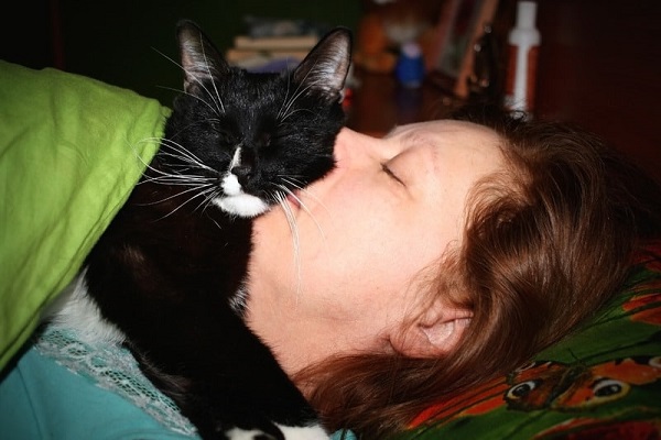 donna bacia un gatto che le dorme addosso