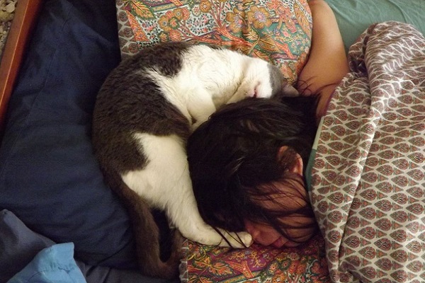 un gatto e il suo umano dormono vicinissimi