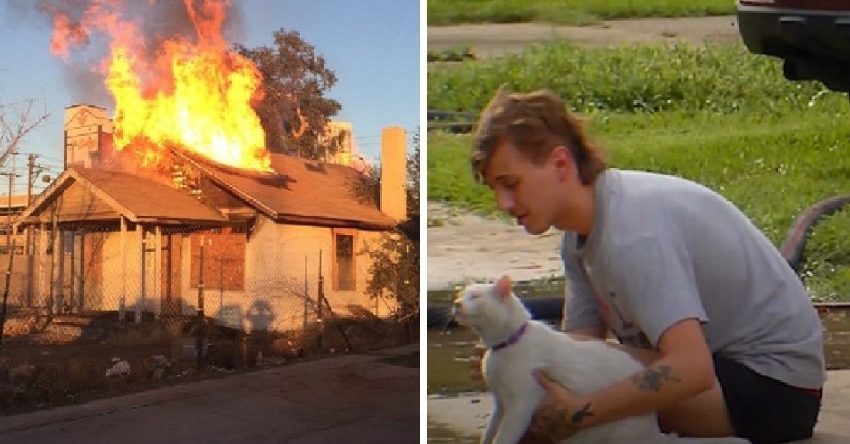 Gatti salvati da valorosi pompieri durante un pericoloso incendio (FOTO)