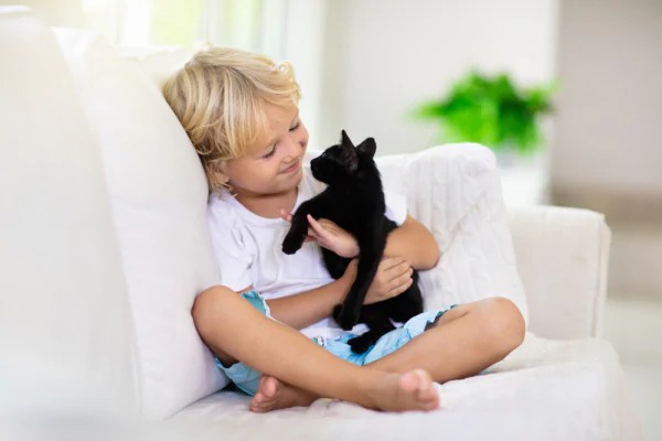 gattino nero e bambino