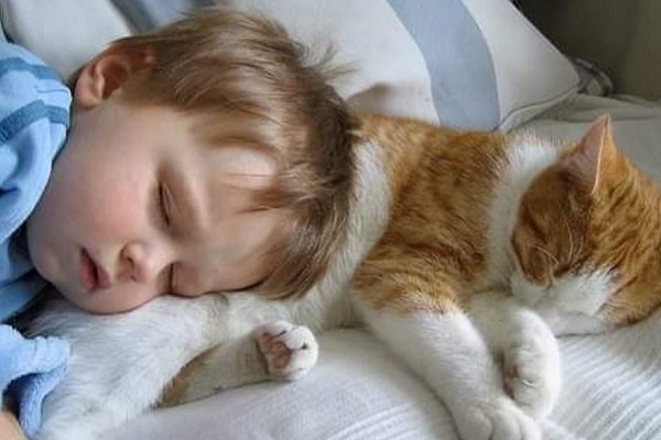 bimbo dorme con gatto bianco e rosso