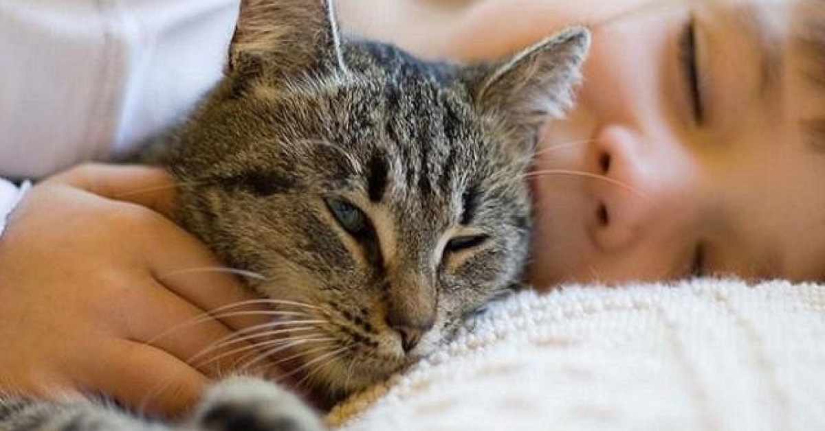 Gattini e bambini: le foto più tenere di mici e bimbi
