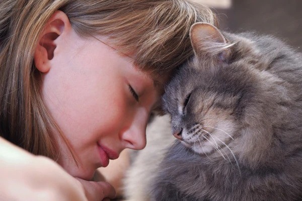 bambina e gatto