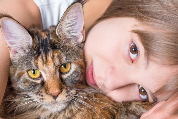 gatto maine coon e bambina abbracciati