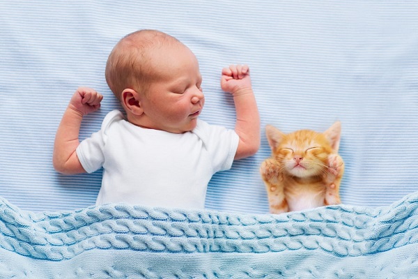 neonato e gattino