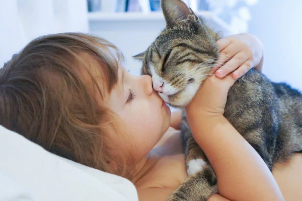 coccole tra gattino e bambina