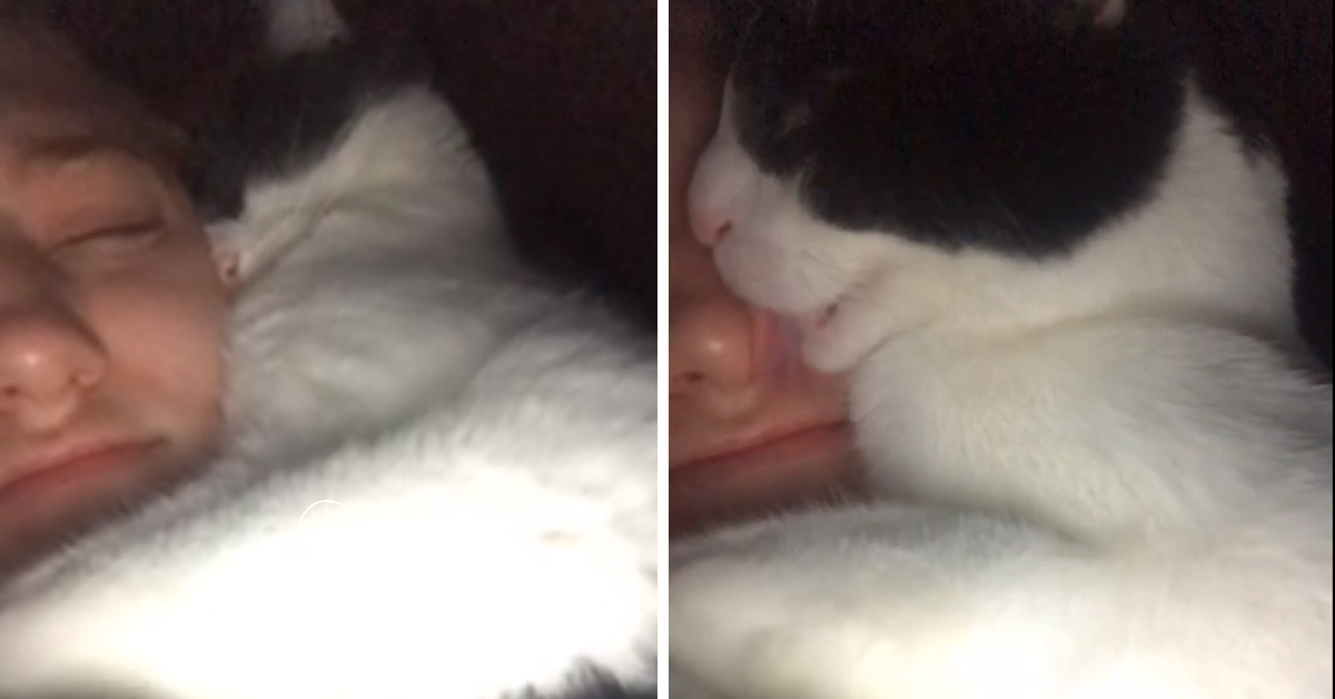 Il gattino abbraccia la proprietaria mentre dorme e il video commuove il web