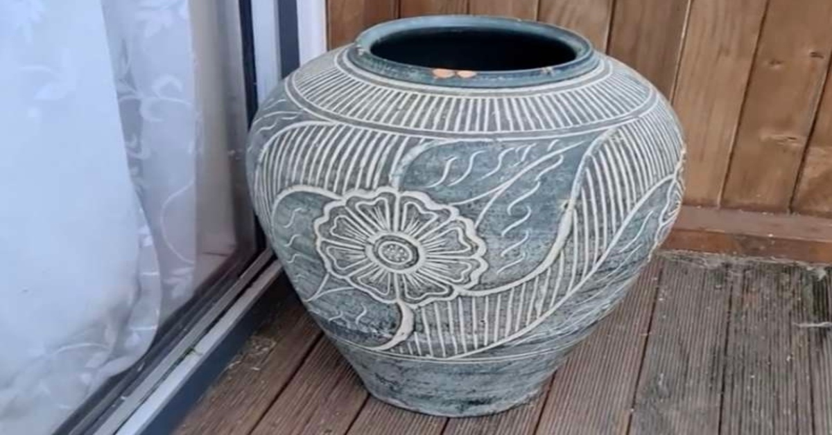 gatto nascosto in un vaso