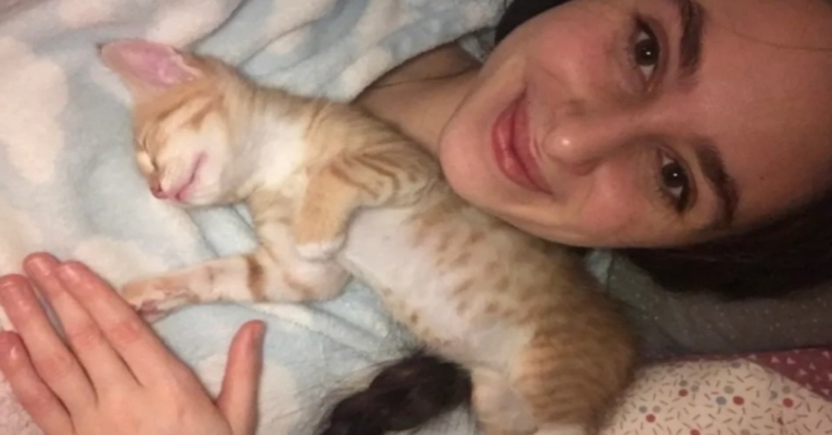 ragazza sdraiata con un gattino