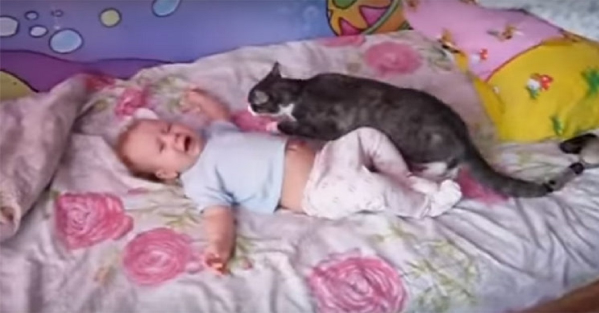 Gattino entra in azione e calma un neonato che piange (VIDEO)