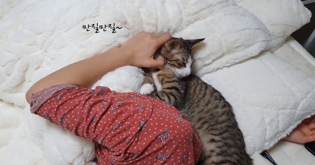 Gatto abbraccia la sua padrona mentre dorme (VIDEO)